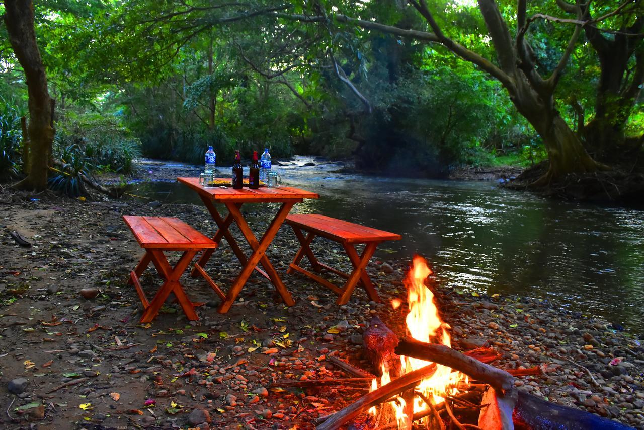 Silent River Cottage Udawalawe Exteriör bild